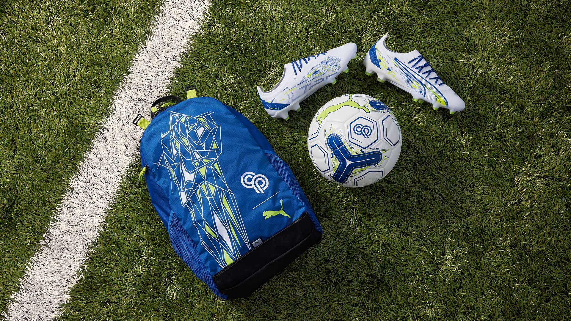 他们不仅承 他们不仅承