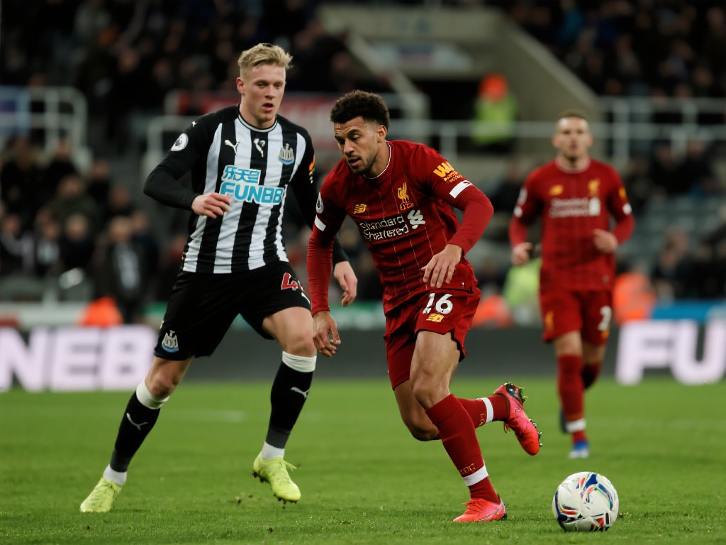 无论是普通 无论是普通